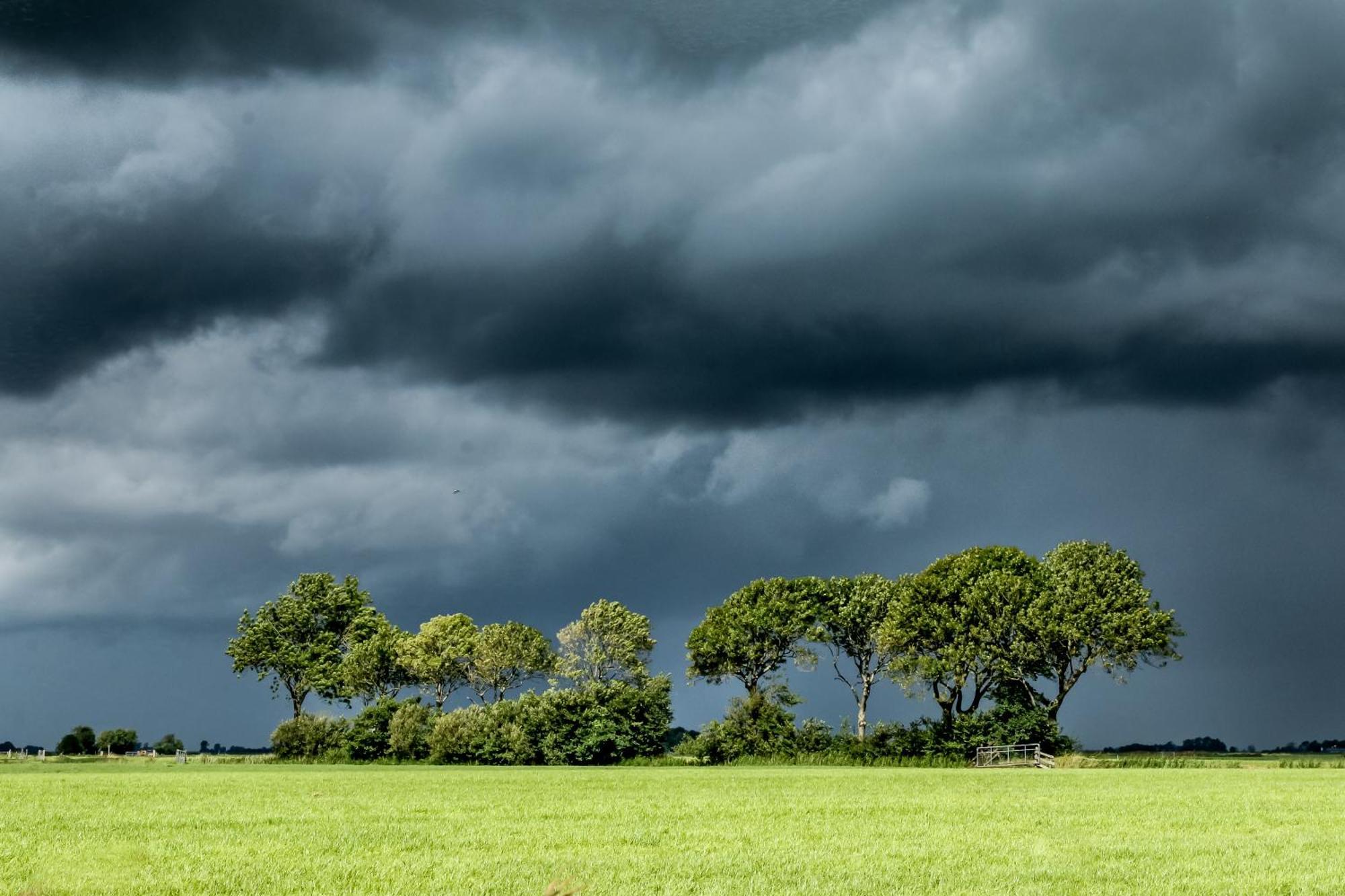 Cynnewille Ee Exteriér fotografie