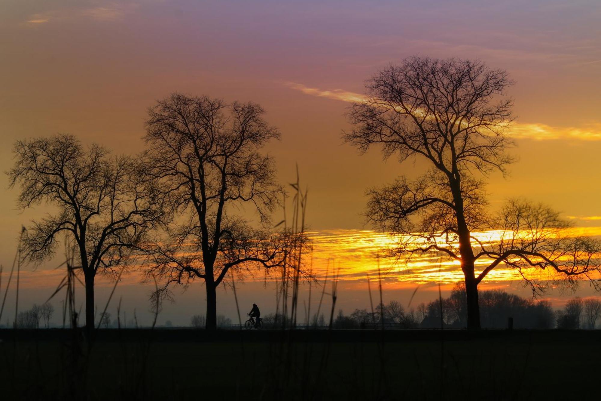 Cynnewille Ee Exteriér fotografie