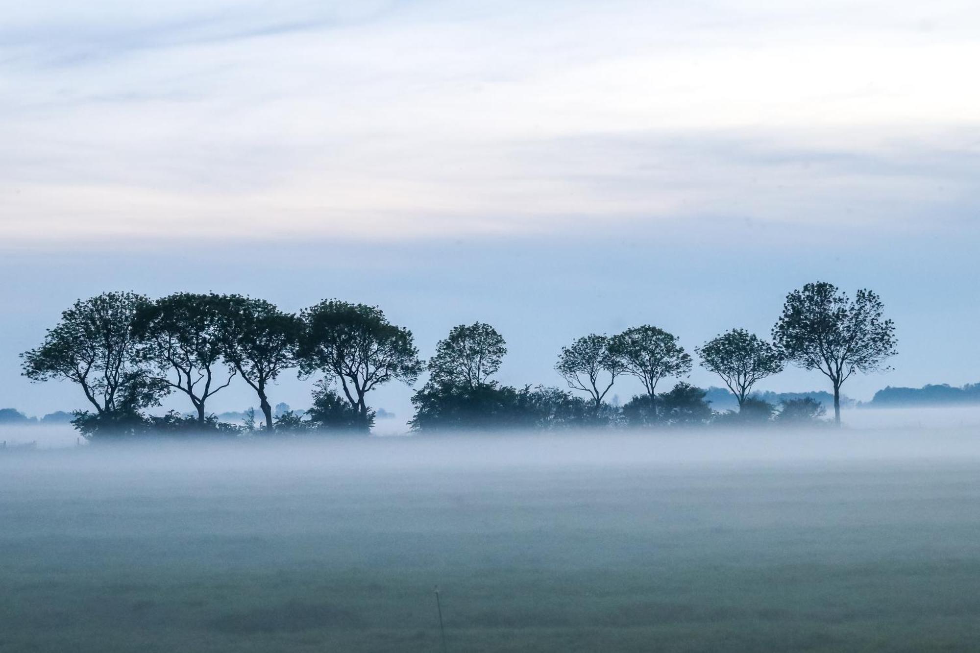 Cynnewille Ee Exteriér fotografie